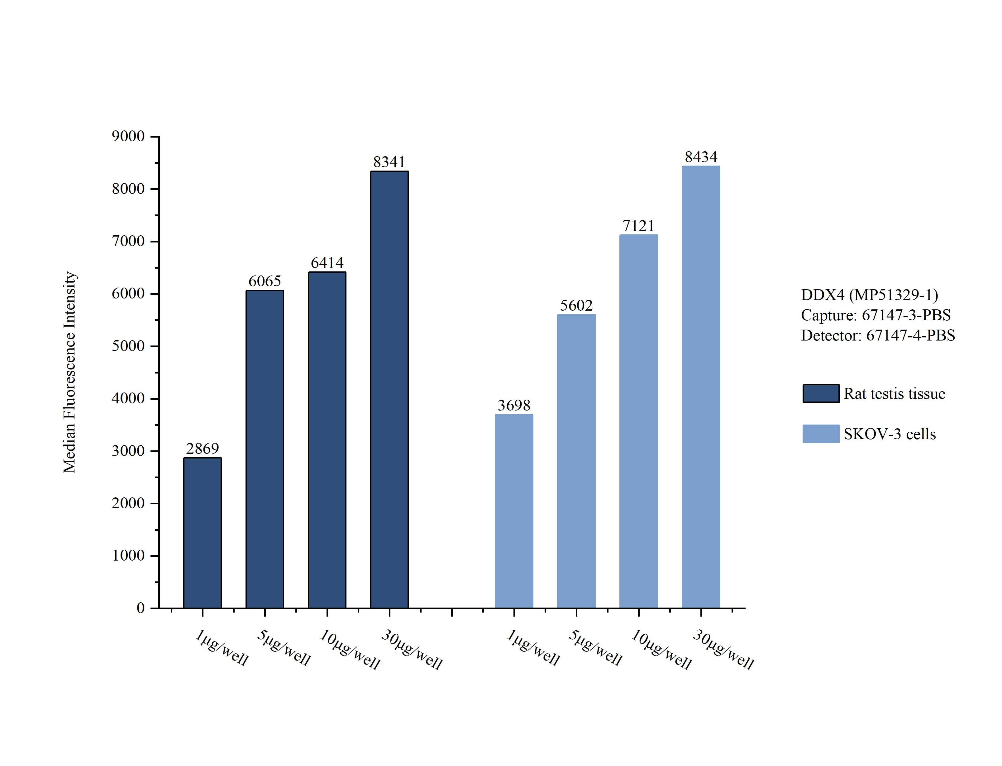 Sample test of MP51329-1, DDX4,VASA Monoclonal Matched Antibody Pair, PBS Only. Capture antibody: 67147-3-PBS. Detection antibody: 67147-4-PBS. 