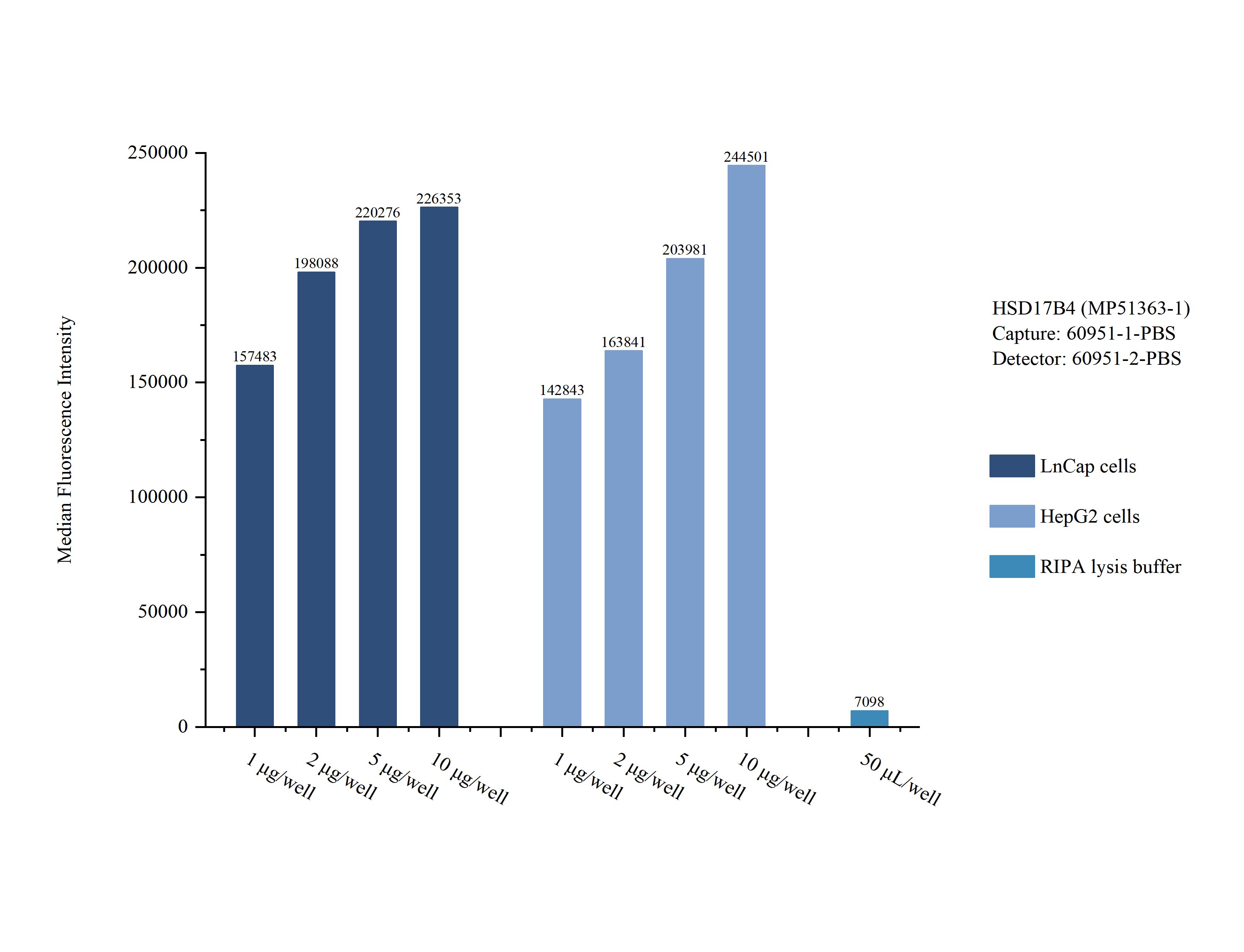 Sample test of MP51363-1, HSD17B4 Monoclonal Matched Antibody Pair, PBS Only. Capture antibody: 60951-1-PBS. Detection antibody: 60951-2-PBS.