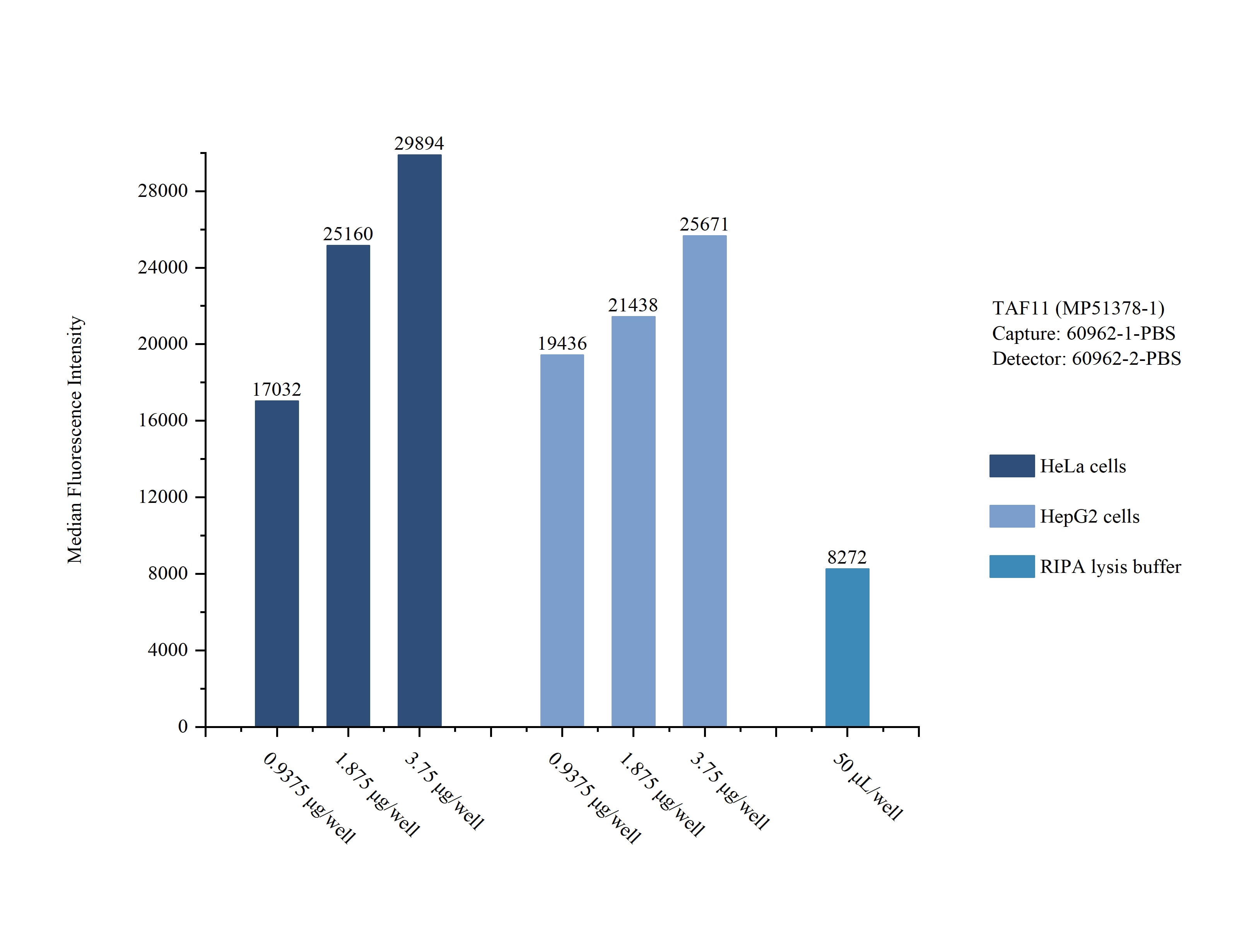 Sample test of MP51378-1