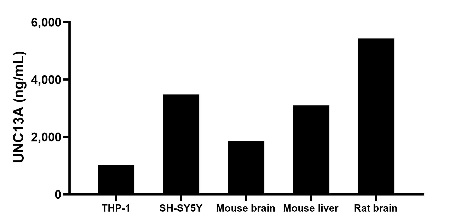 The mean UNC13A concentration was determined to be 1,022.00 ng/mL in THP-1 cell extract based on a 1.20 mg/mL extract load, 3,478.30 ng/mL in SH-SY5Y cell extract based on a 1.20 mg/mL extract load, 1,872.50 ng/mL in mouse brain extract based on a 3.20 mg/mL extract load, 3,096.70 ng/mL in mouse liver extract based on a 8.40 mg/mL extract load and 5,434.00 ng/mL in rat brain extract based on a 3.90 mg/mL extract load. Sandwich ELISA sample test of MP00100-4