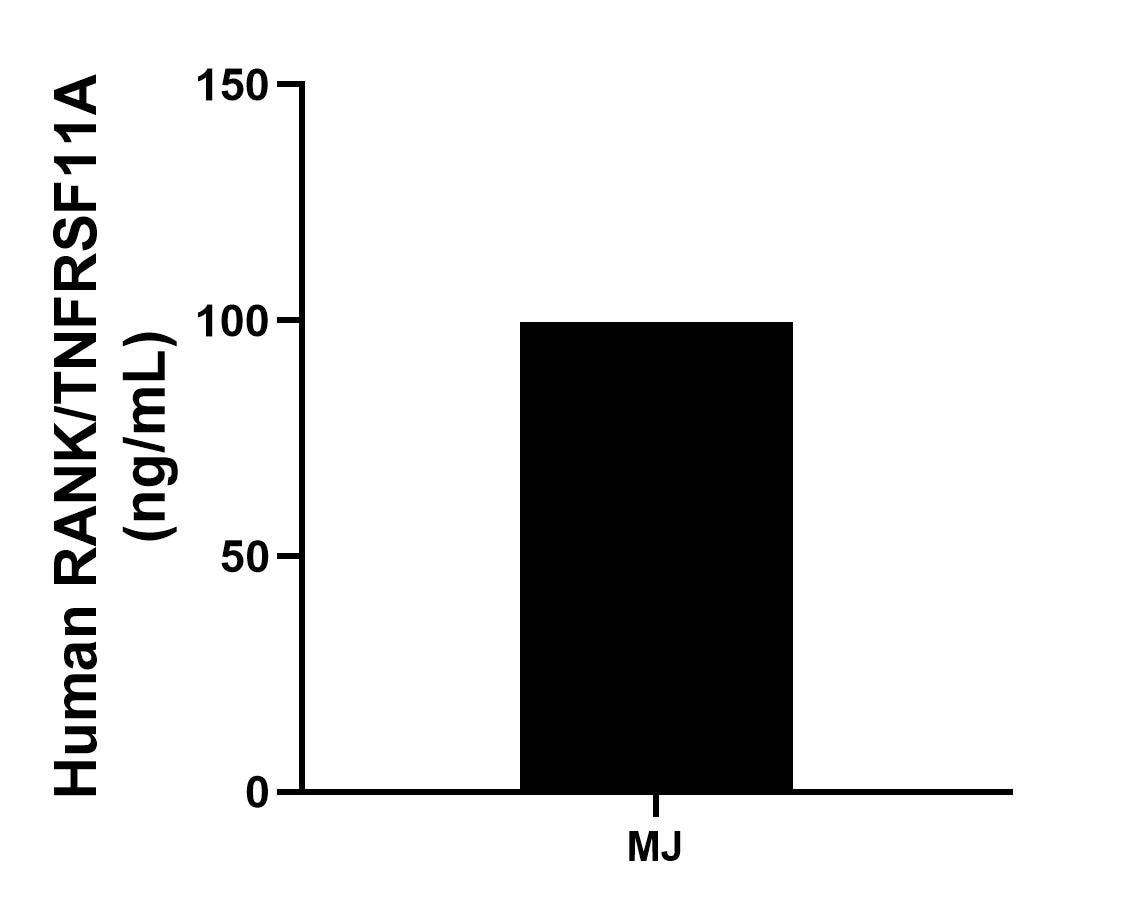The mean RANK/TNFRSF11A concentration was determined to be 99.57 ng/mL in MJ cell extract based on a 1.20 mg/mL extract load.