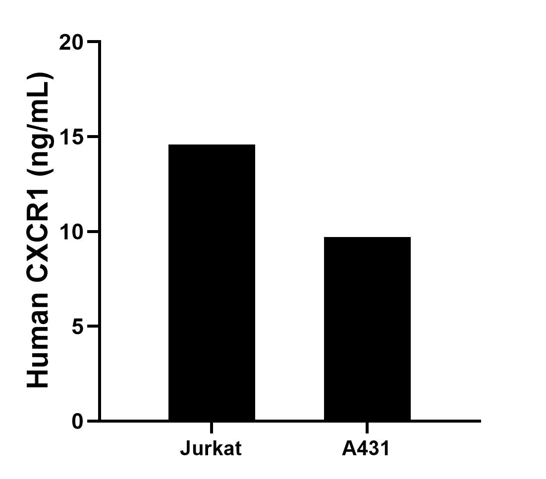 The mean CXCR1 concentration was determined to be 14.59 ng/mL in Jurkat cell extract based on a 1.2 mg/mL extract load and 9.71 ng/mL in A431 cell extract based on a 1.2 mg/mL extract load.	