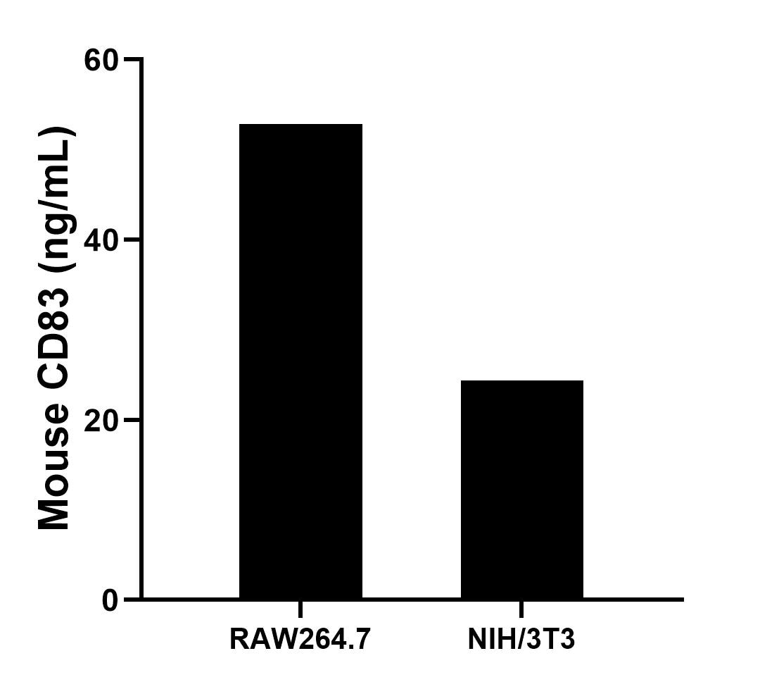 The mean CD83 concentration was determined to be 52.81 ng/mL in RAW264.7 cell extract based on a 1.2 mg/mL extract load and 24.42 ng/mL in NIH/3T3 cell extract based on a 1.2 mg/mL extract load.		