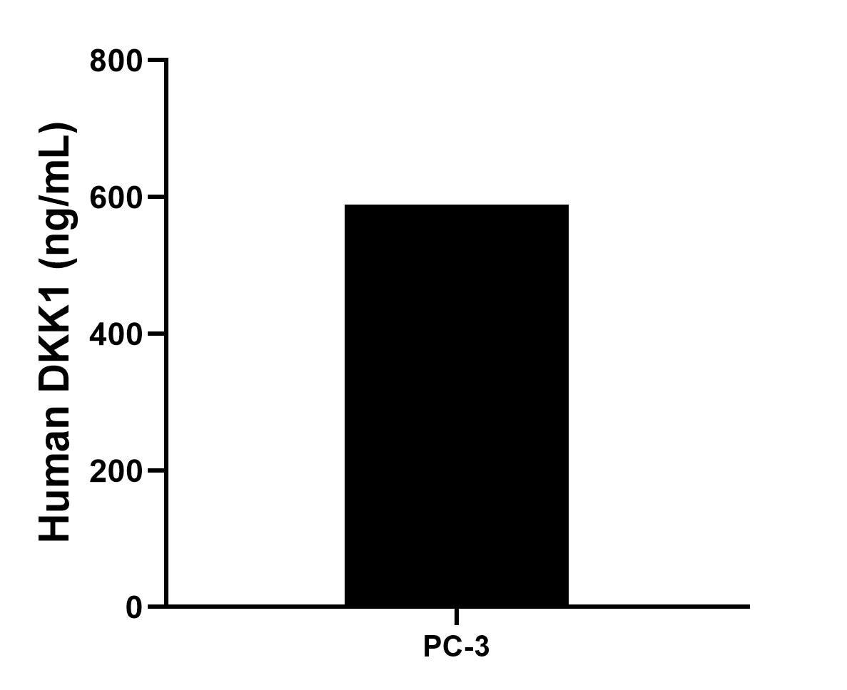 PC-3 human prostate cancer cells were cultured in RPMI supplemented with 10% fetal bovine serum, 2 mM L-glutamine, 100 U/mL penicillin, and 100 μg/mL streptomycin sulfate for 72 hours. Aliquots of the cell culture supernates were removed, assayed for levels of human DKK1 and measured 588.98 ng/mL. Sandwich ELISA sample test of MP01353-2