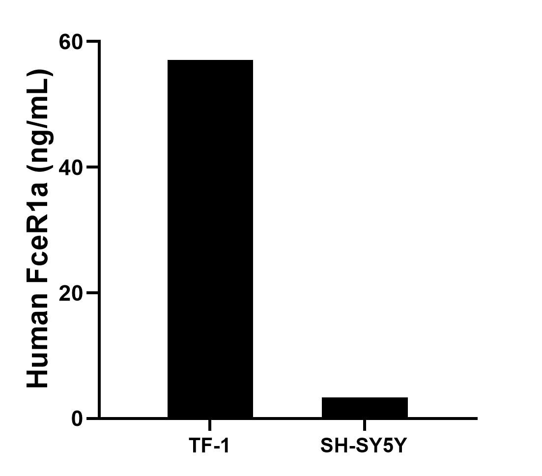 The mean FceR1a concentration was determined to be 57.10 ng/mL in TF-1 cell extract based on a 4.0 mg/mL extract load and 3.40 ng/mL in SH-SY5Y cell extract based on a 1.2 mg/mL extract load. The mean FceR1a concentration was determined to be 57.10 ng/mL in TF-1 cell extract based on a 4.0 mg/mL extract load and 3.40 ng/mL in SH-SY5Y cell extract based on a 1.2 mg/mL extract load.