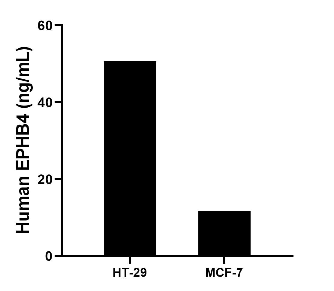 The mean EPHB4 concentration was determined to be 50.62 ng/mL in HT-29 cell extract based on a 1.5 mg/mL extract load and 11.71 ng/mL in MCF-7 cell extract based on a 1.2 mg/mL extract load.	