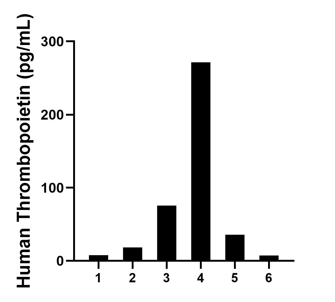 Serum of six individual healthy human donors was measured. The Thrombopoietin concentration of detected samples was determined to be 69.4 pg/mL with a range of 7.4-271.5 pg/mL.	