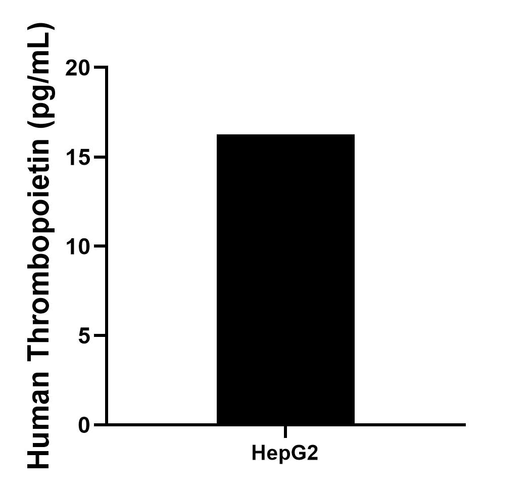 HepG2 cells were cultured in DMEM supplemented with 10% fetal bovine serum, 2.5 mM L-glutamine, 100 U/mL penicillin, and 100 μg/mL streptomycin sulfate. An aliquot of the cell culture supernatant was removed, assayed for human Thrombopoietin, and measured 16.3 pg/mL.