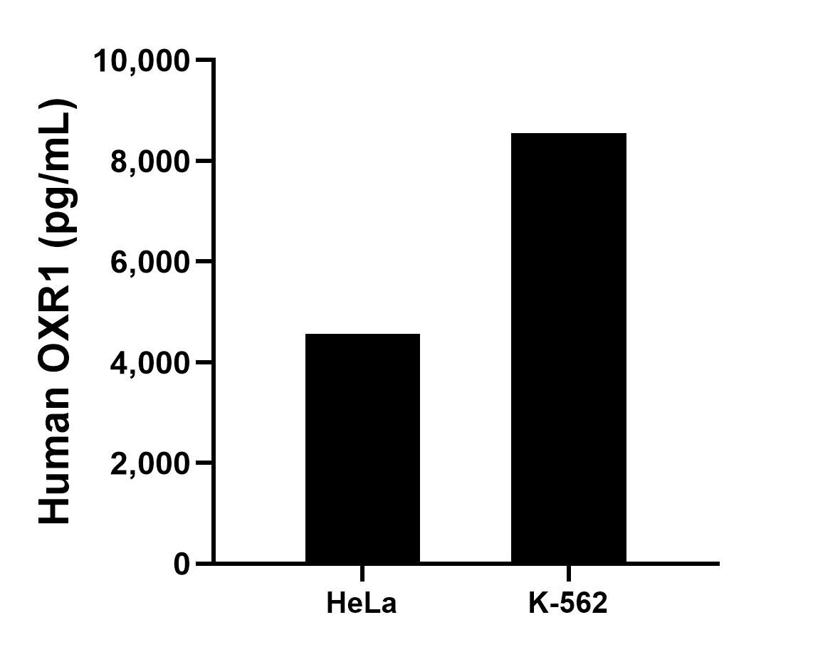 Sandwich ELISA sample test of MP02376-2