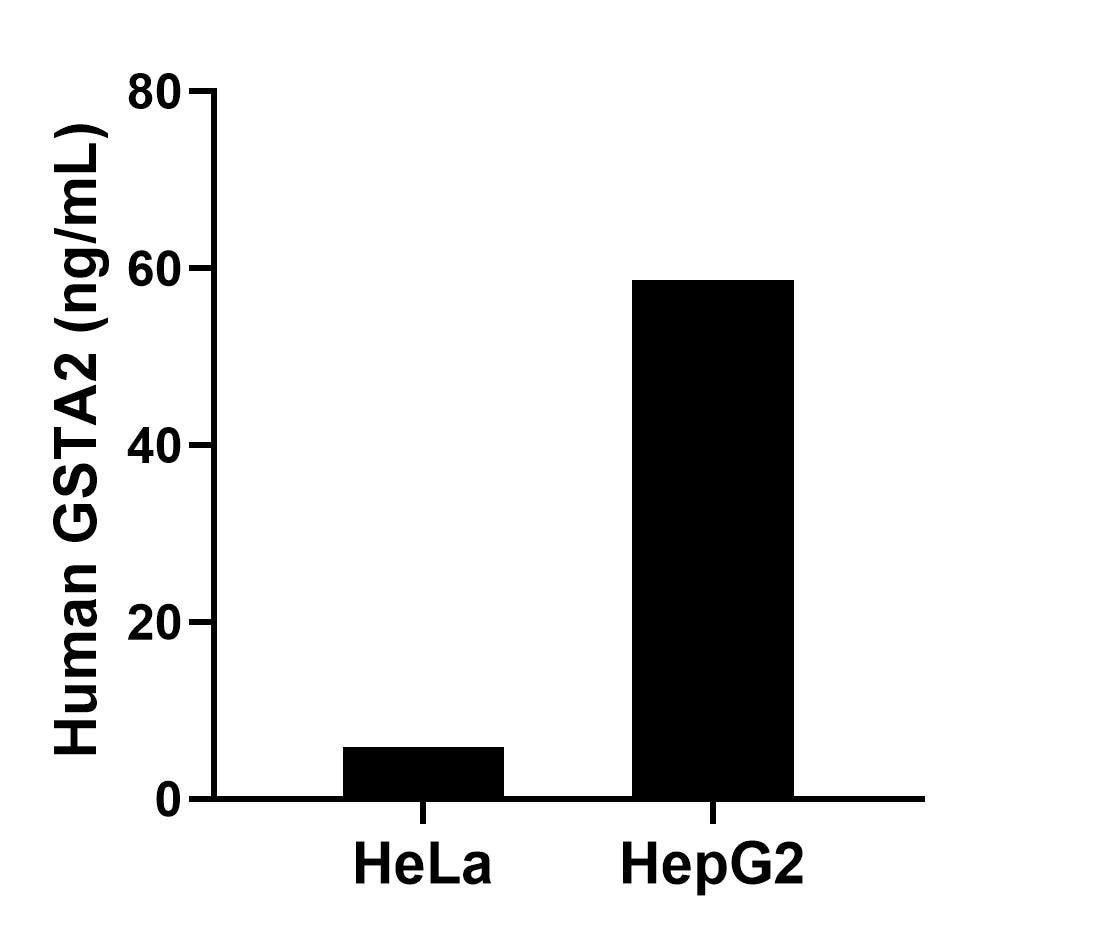 Sandwich ELISA sample test of MP02440-1