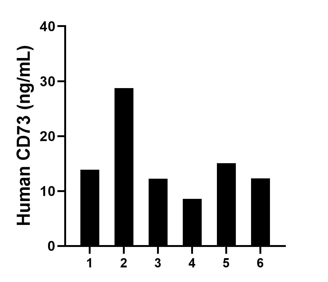 Plasma of six individual healthy human donors was measured. The human CD73 concentration of detected samples was determined to be 15.14 ng/mL with a range of 8.55 - 28.73 ng/mL.