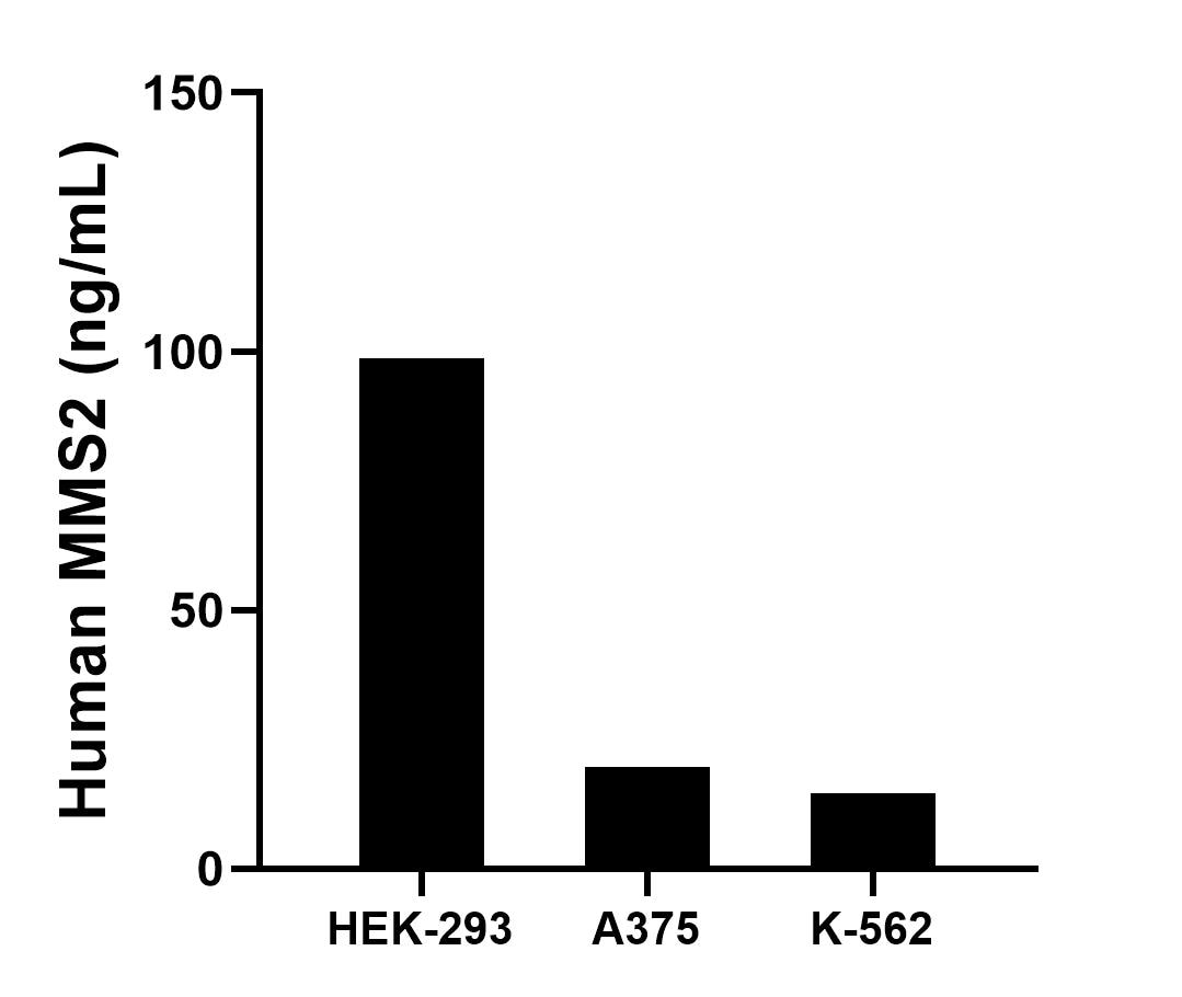 Sandwich ELISA sample test of MP02524-1 Sandwich ELISA sample test of MP02524-1