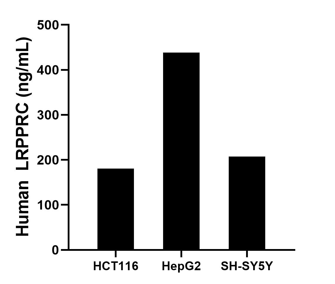 The mean LRPPRC concentration was determined to be 181.06 ng/mL in HCT116 cell extract based on a 1.0 mg/mL extract load, 438.54 ng/mL in HepG2 cell extract based on a 1.0 mg/mL extract load and 207.78 ng/mL in SH-SY5Y cell extract based on a 1.0 mg/mL extract load. The mean LRPPRC concentration was determined to be 181.06 ng/mL in HCT116 cell extract based on a 1.0 mg/mL extract load, 438.54 ng/mL in HepG2 cell extract based on a 1.0 mg/mL extract load and 207.78 ng/mL in SH-SY5Y cell extract based on a 1.0 mg/mL extract load.