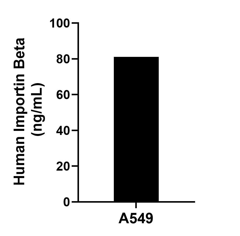 Sandwich ELISA sample test of MP02562-1