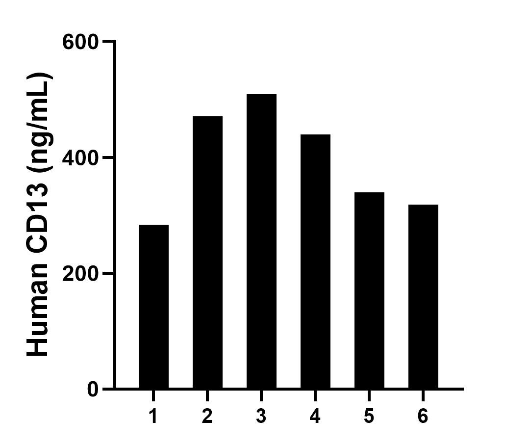 Plasma of six individual healthy human donors was measured. The human CD13 concentration of detected samples was determined to be 393.55 ng/mL with a range of 283.65 - 508.88 ng/mL.