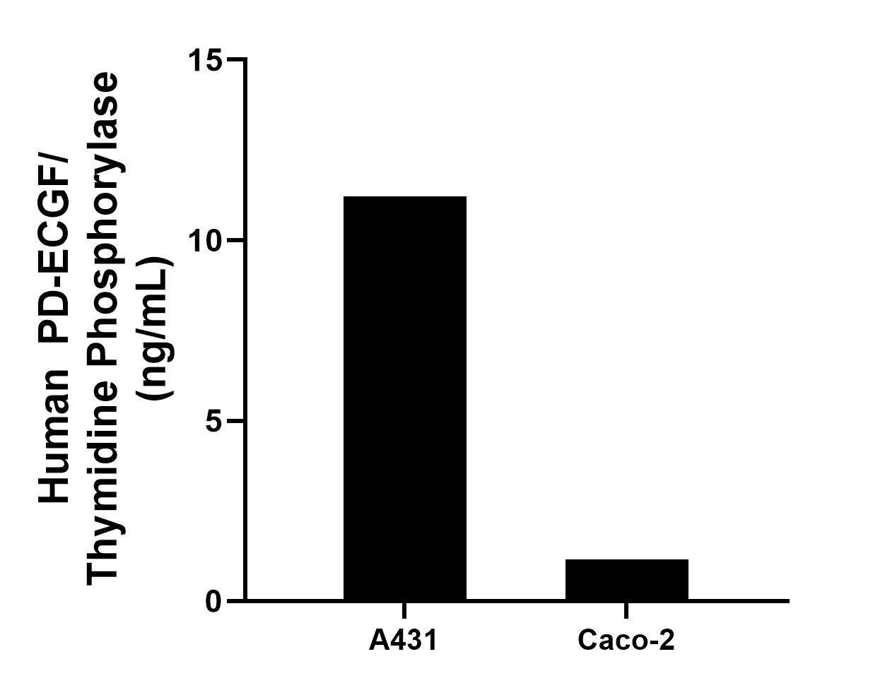 The mean PD-ECGF/Thymidine Phosphorylase concentration was determined to be 11.22 ng/mL in A431 cell extract based on a 1.2 mg/mL extract load and 1.16 ng/mL in Caco-2 cell extract based on a 2.7 mg/mL extract load. The mean PD-ECGF/Thymidine Phosphorylase concentration was determined to be 11.22 ng/mL in A431 cell extract based on a 1.2 mg/mL extract load and 1.16 ng/mL in Caco-2 cell extract based on a 2.7 mg/mL extract load.