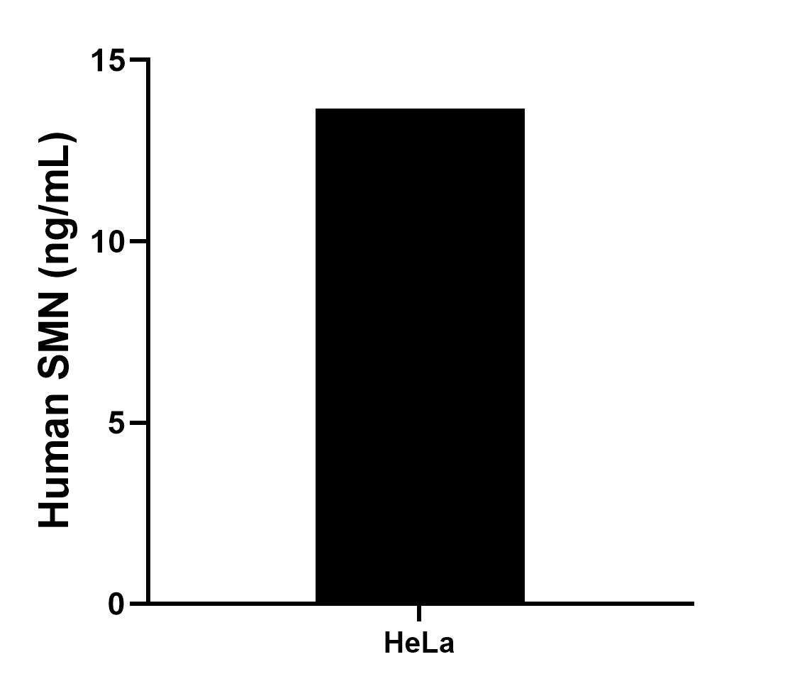 Sandwich ELISA sample test of MP02580-1