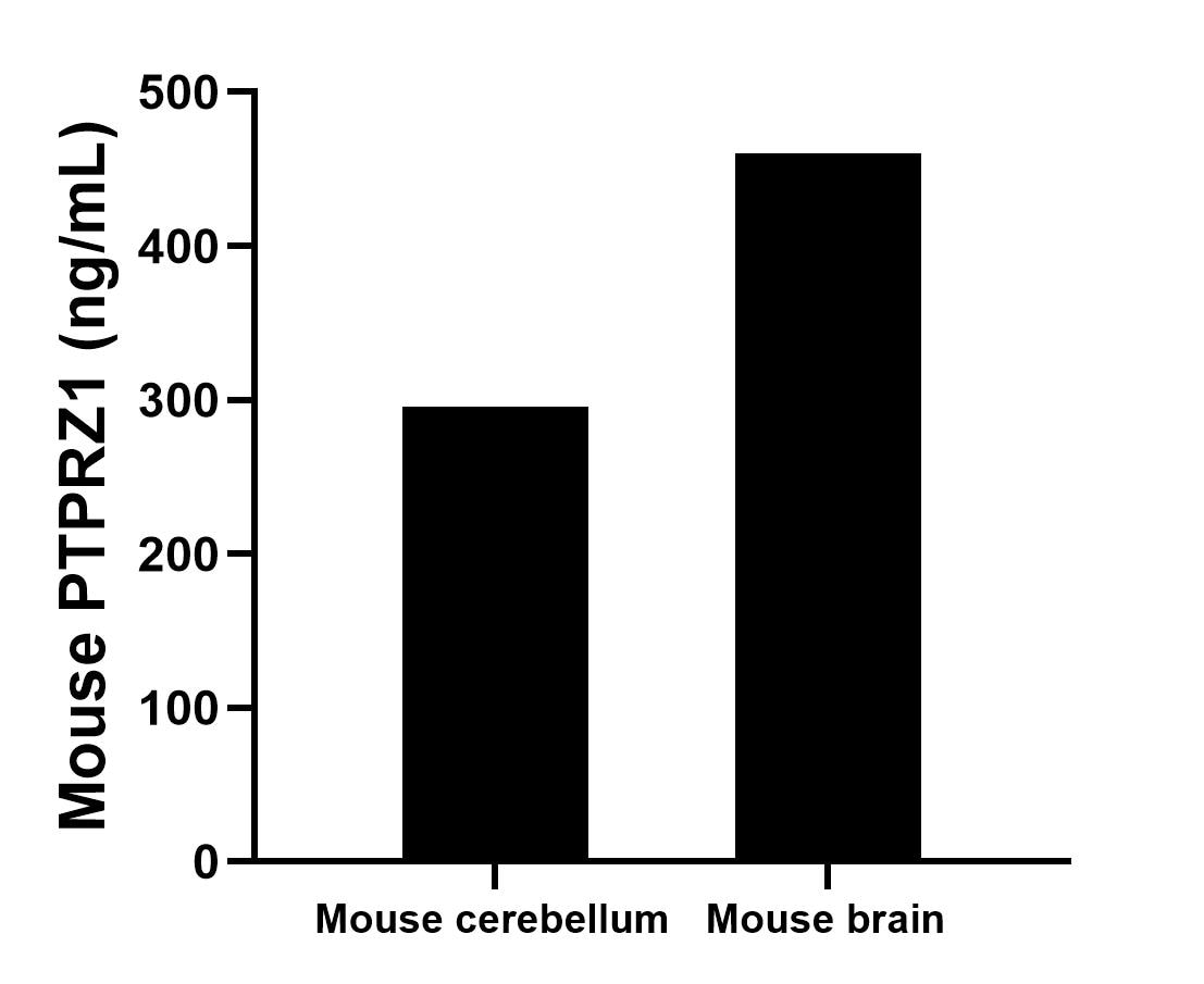 The mean PTPRZ1 concentration was determined to be 295.4 ng/mL in mouse cerebellum tissue extract based on a 2.9 mg/mL extract load and 460.1 ng/mL in mouse brain tissue extract based on a 3.2 mg/mL extract load. The mean PTPRZ1 concentration was determined to be 295.4 ng/mL in mouse cerebellum tissue extract based on a 2.9 mg/mL extract load and 460.1 ng/mL in mouse brain tissue extract based on a 3.2 mg/mL extract load.