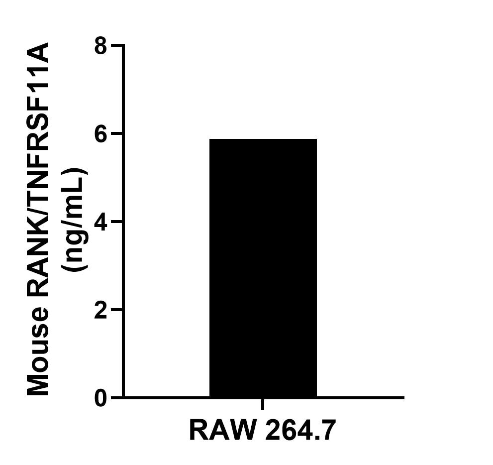 The mean RANK/TNFRSF11A concentration was determined to be 5.88 ng/mL in RAW 264.7 cell extract based on a 1.30 mg/mL extract load. Sandwich ELISA sample test of MP02637-1