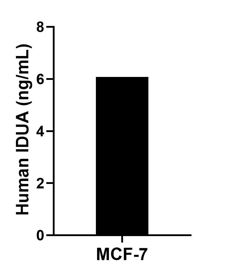 Sandwich ELISA sample test of MP02673-1