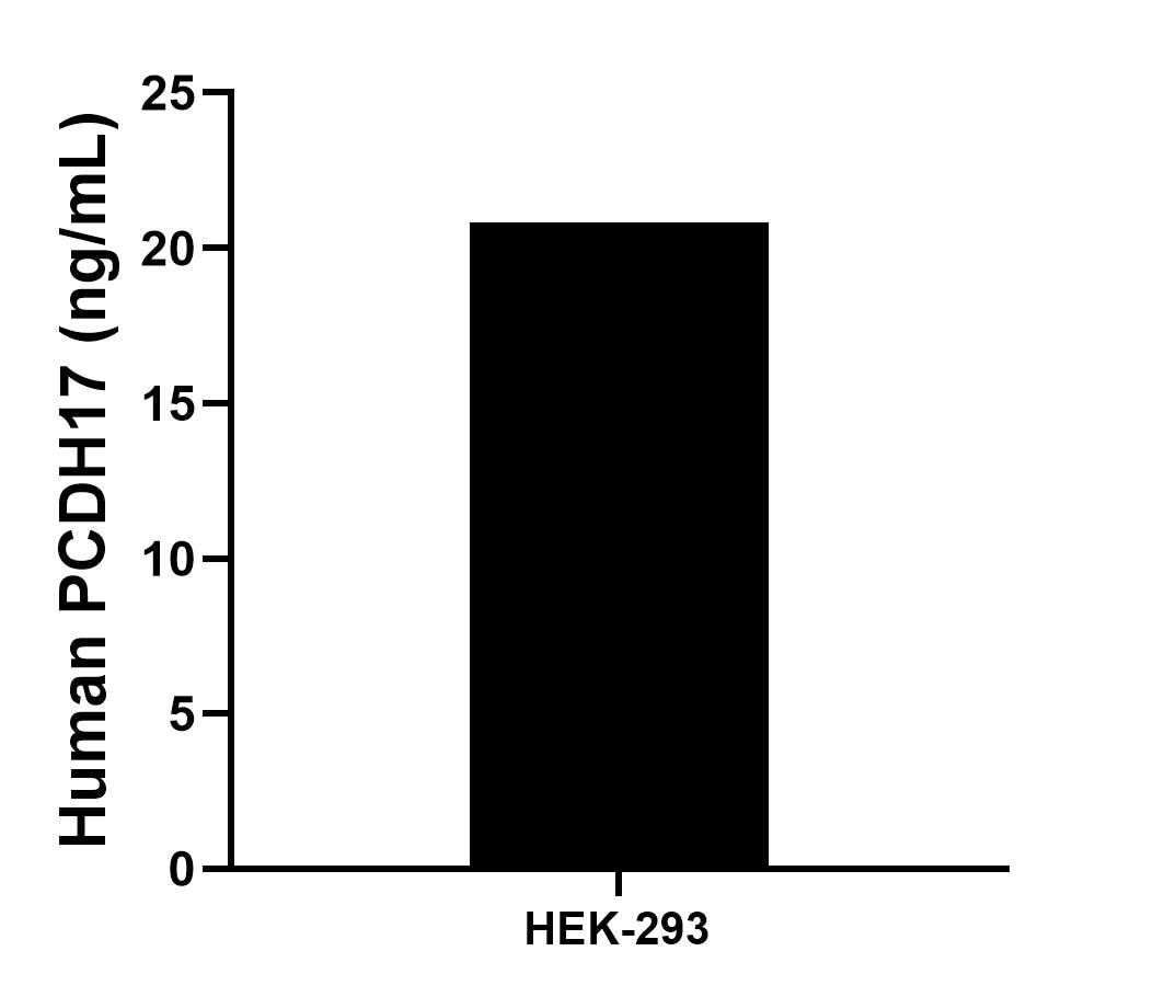 The mean PCDH17 concentration was determined to be 20.8 ng/mL in HEK-293 cell extract based on a 1.2 mg/mL extract load. Sandwich ELISA sample test of MP02677-1