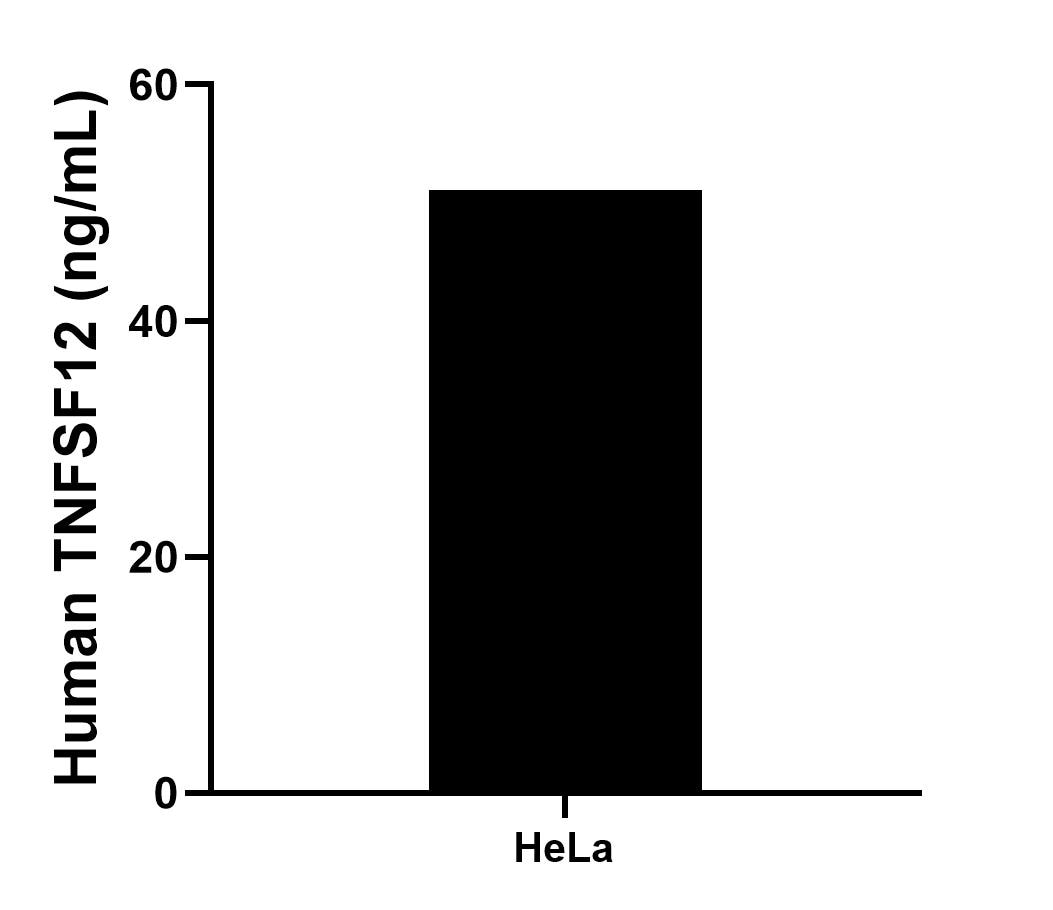 The mean TNFSF12 concentration was determined to be 51.10 ng/mL in HeLa cell extract based on a 1.20 mg/mL extract load.