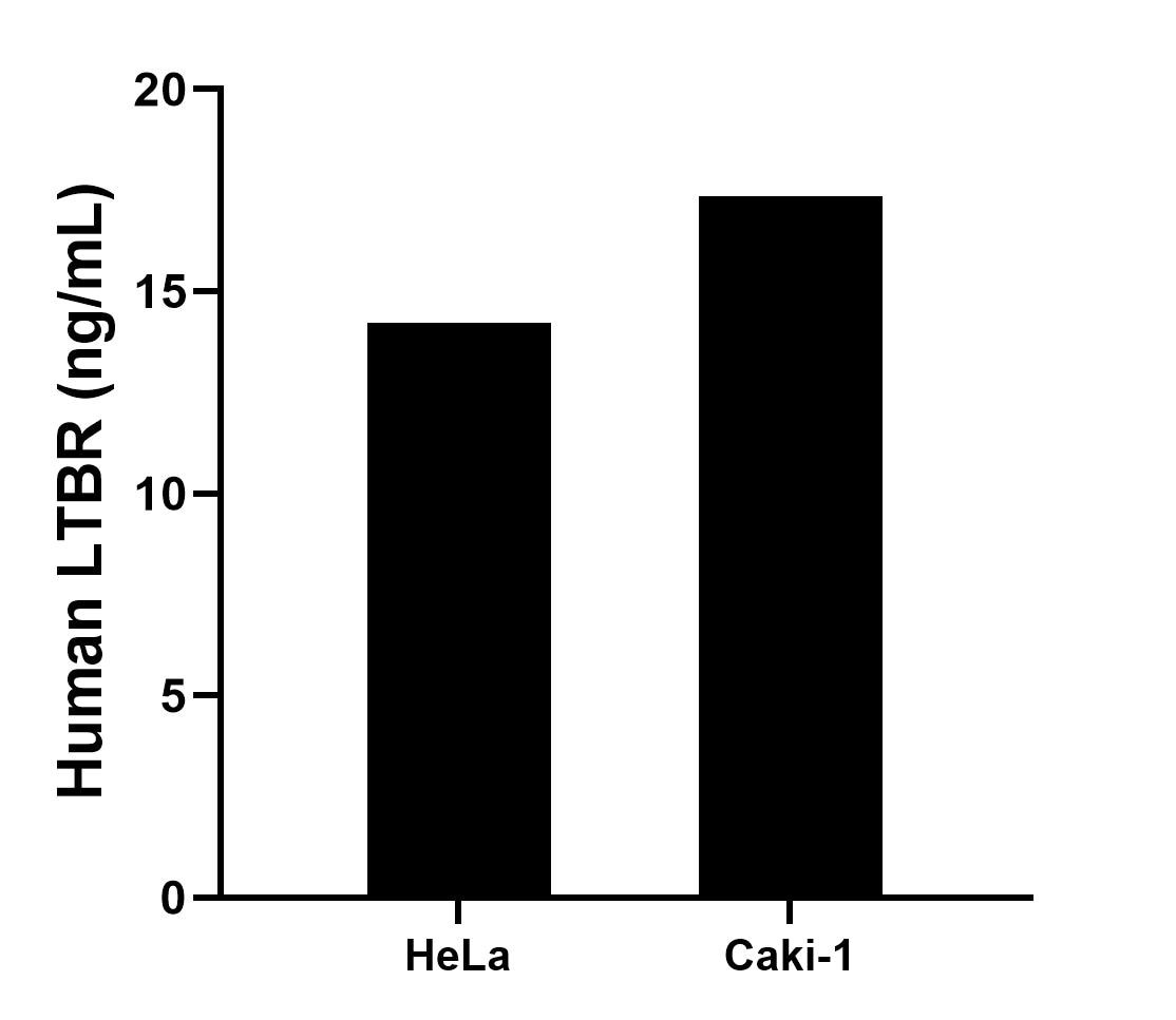Sandwich ELISA sample test of MP02693-2