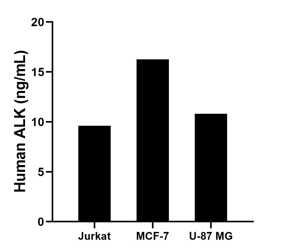 The mean ALK concentration was determined to be 9.61 ng/mL in Jurkat cell extract based on a 1.2 mg/mL extract load, 16.25 ng/mL in MCF-7 cell extract based on a 1.2 mg/mL extract load and 10.82 ng/mL in U-87 MG cell extract based on a 1.5 mg/mL extract load.	