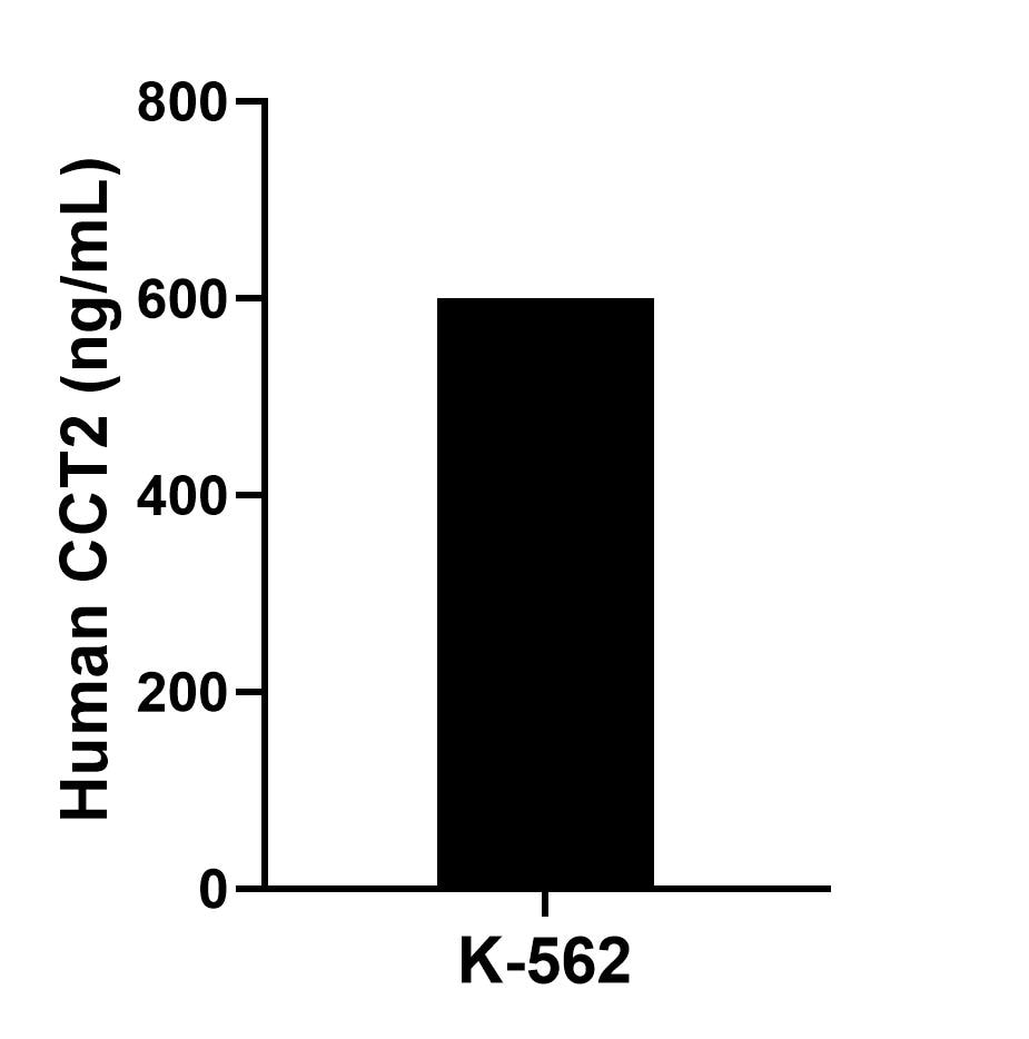 The mean CCT2 concentration was determined to be 600.11 ng/mL in K-562 cell extract based on a 1.20 mg/mL extract load.