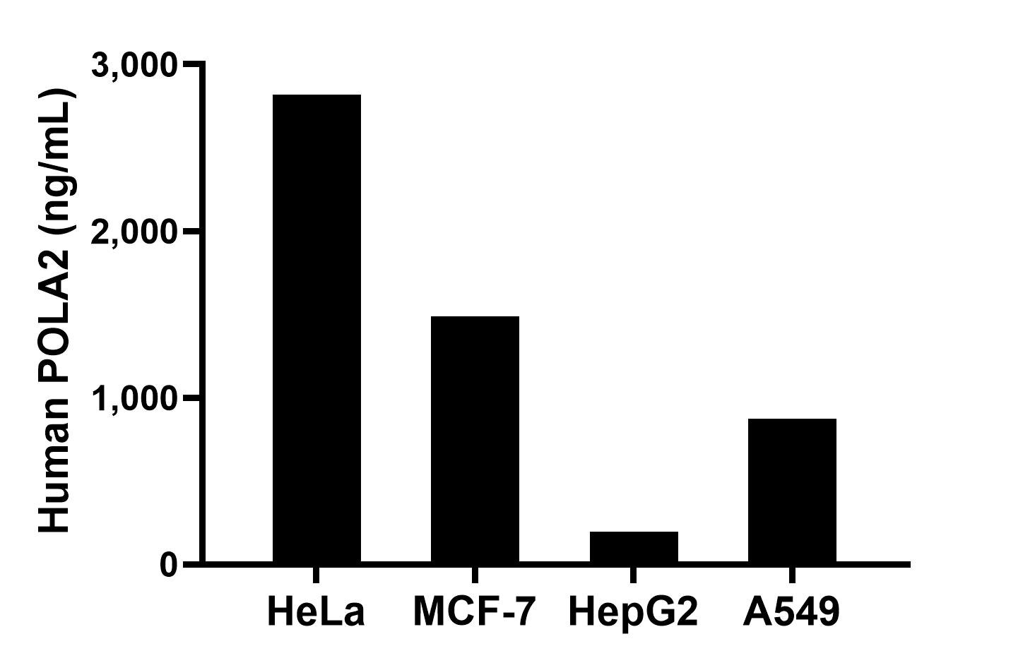 The mean POLA2 concentration was determined to be 2,818.00 ng/mL in HeLa cell extract based on a 1.20 mg/mL extract load, 1,487.00 ng/mL in MCF-7 cell extract based on a 1.20 mg/mL extract load, 198.00 ng/mL in HepG2 cell extract based on a 1.20 mg/mL extract load and 873.00 ng/mL in A549 cell extract based on a 1.20 mg/mL extract load.
