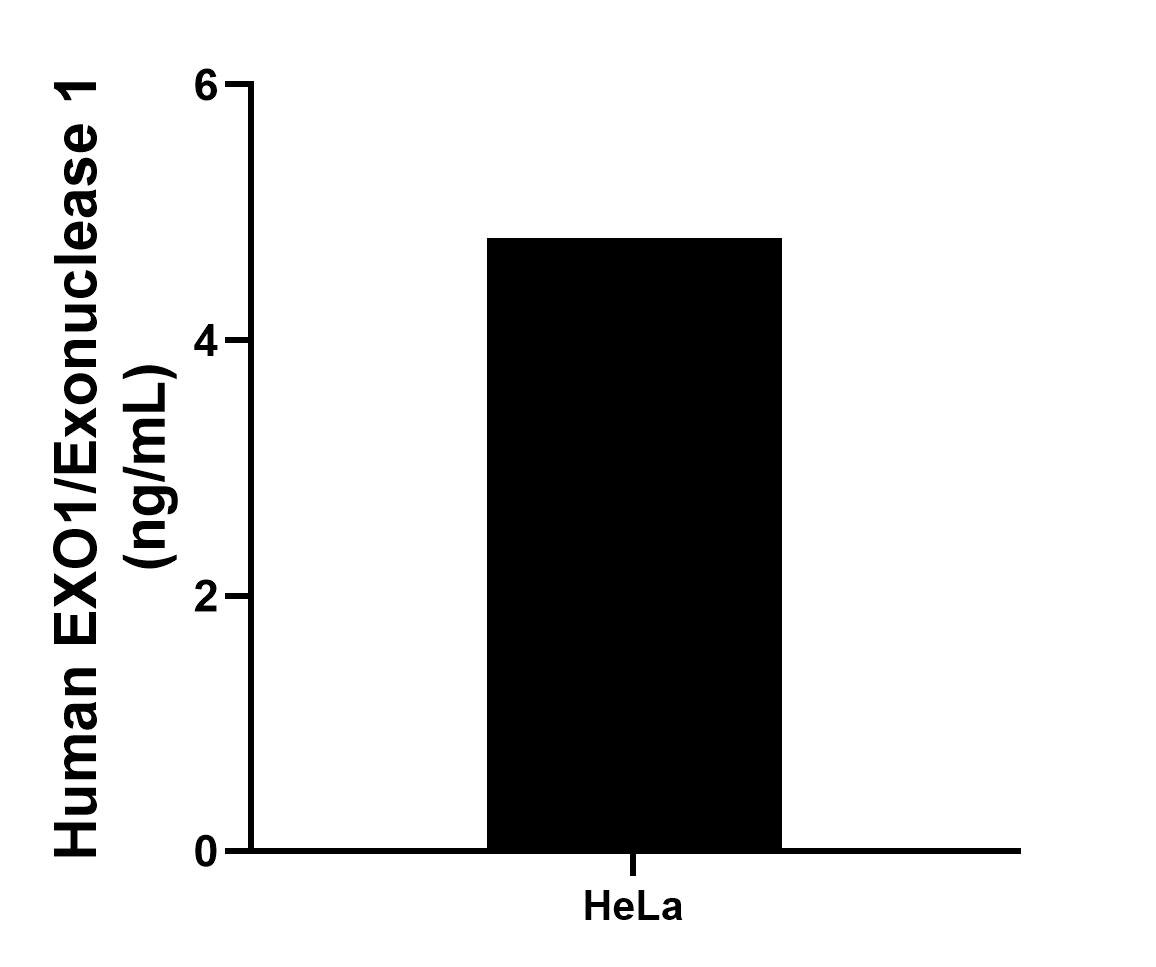 Sandwich ELISA sample test of MP02742-1