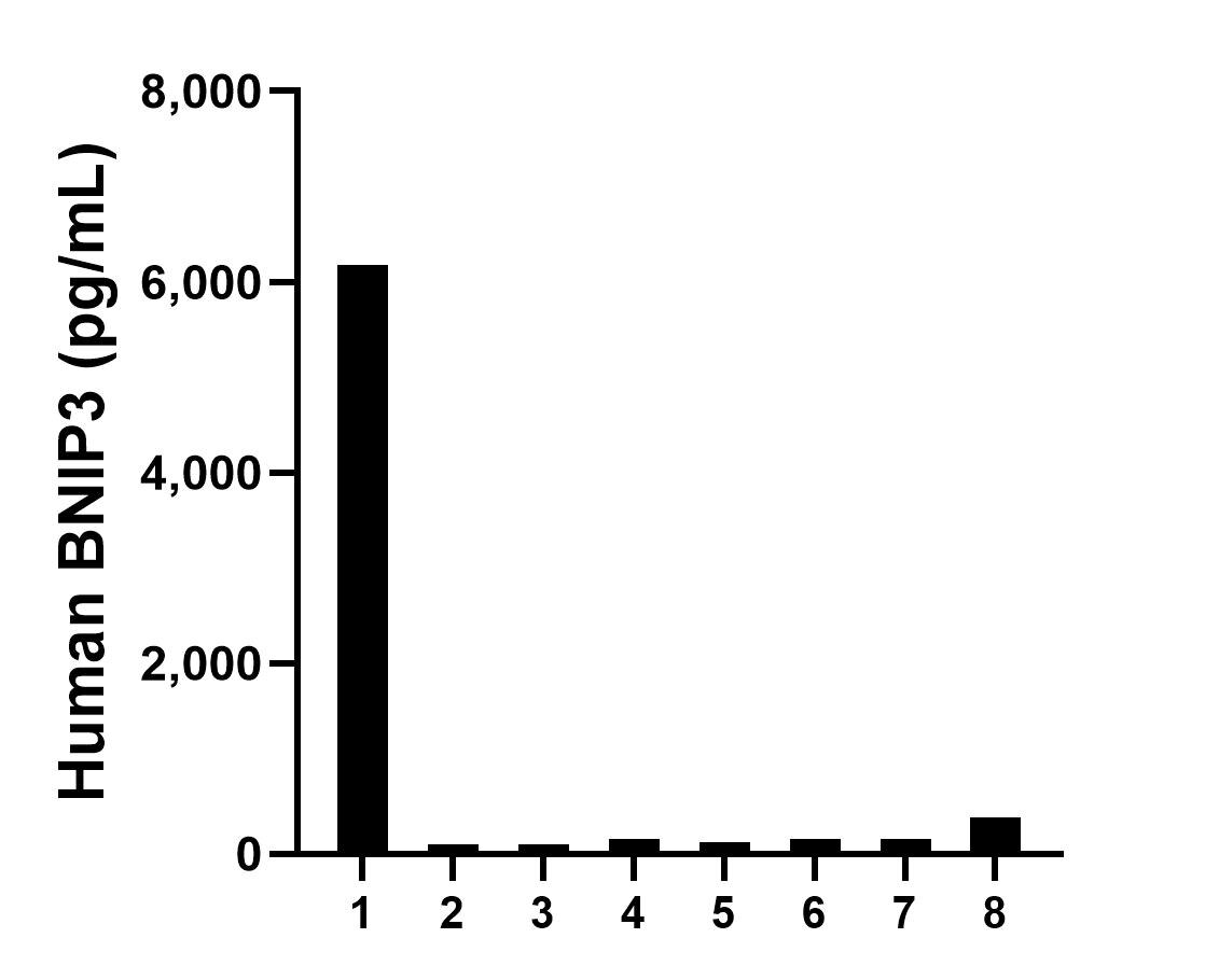 Serum of eight individual healthy human donors was measured. The BNIP3 concentration of detected samples was determined to be 920.1 pg/mL with a range of 98.3-6,179.9 pg/mL.	