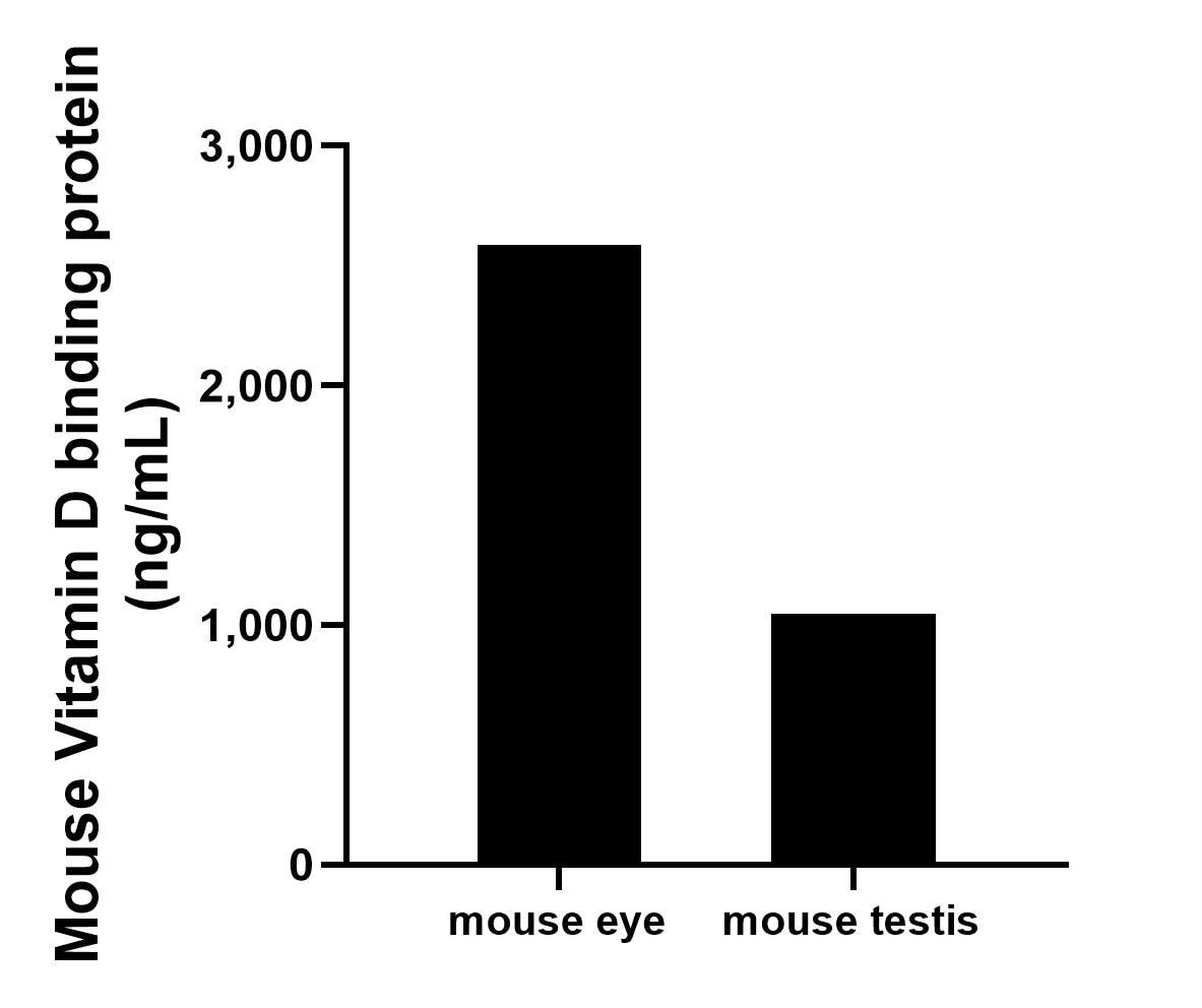 The mean Vitamin D binding protein concentration was determined to be 2,589.1 ng/mL in mouse eye tissue extract based on a 12.4 mg/mL extract load and 1,046.4 ng/mL in mouse testis tissue extract based on a 1.1 mg/mL extract load. 