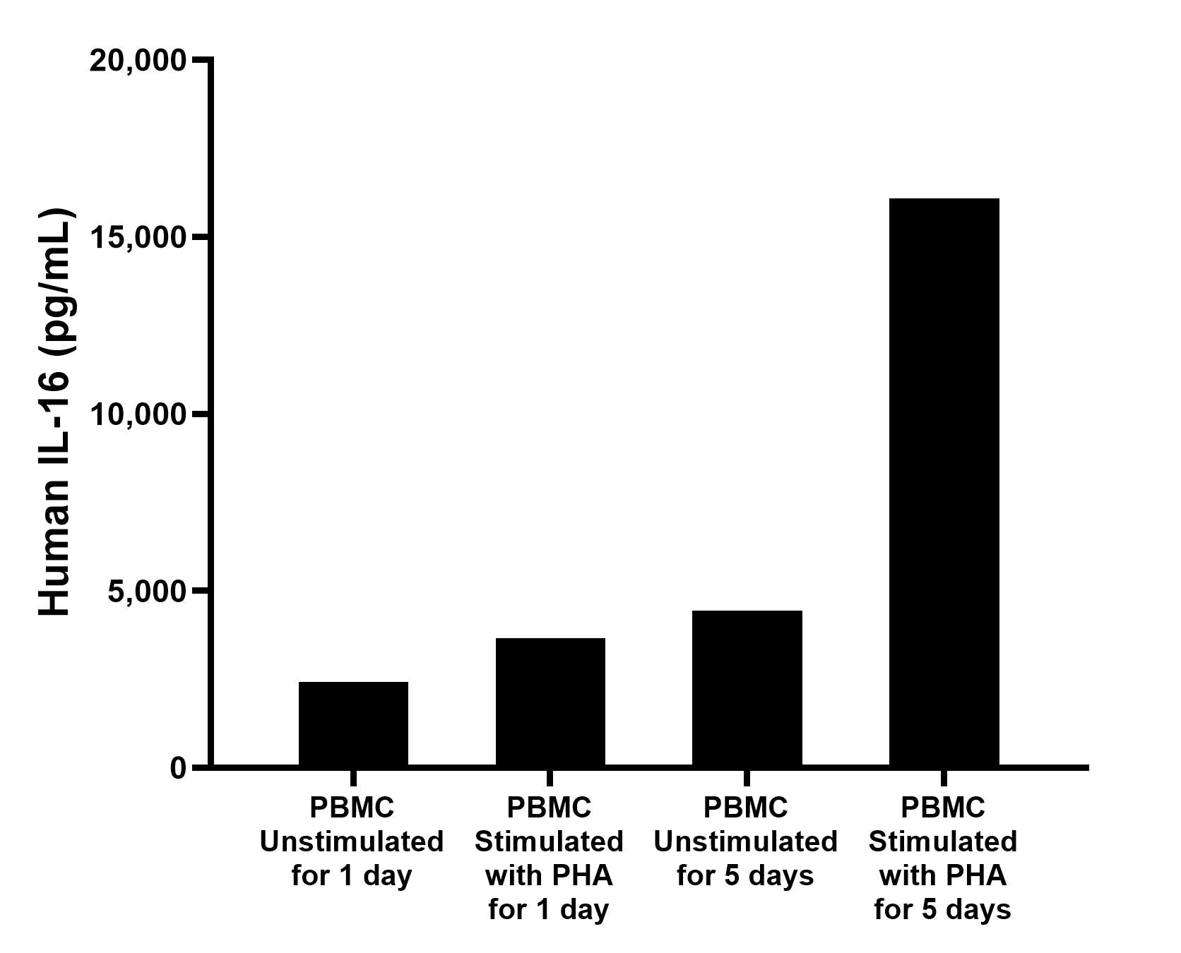 Human peripheral blood mononuclear cells (PBMC) were cultured unstimulated or stimulated with 10 ug/mL PHA for 1 day or 5 days. For the PBMC supernatant cultured for 1 day, the mean IL-16 concentration was determined to be 2,424.2 pg/mL in unstimulated PBMC supernatant, 3,654.0 pg/mL in PHA stimulated PBMC supernatant. For the PBMC supernatant cultured for 5 days, the mean IL-16 concentration was determined to be 4,432.6 pg/mL in unstimulated PBMC supernatant, 16,089.0 pg/mL in PHA stimulated PBMC supernatant.