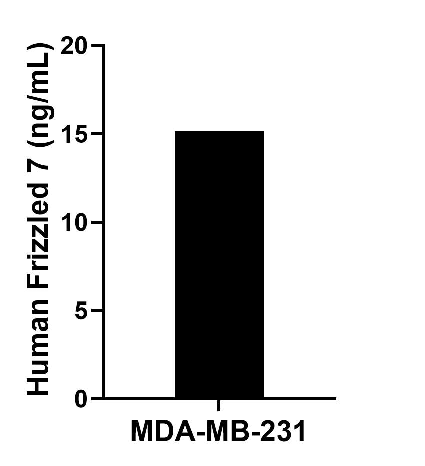 Sandwich ELISA sample test of MP02779-1