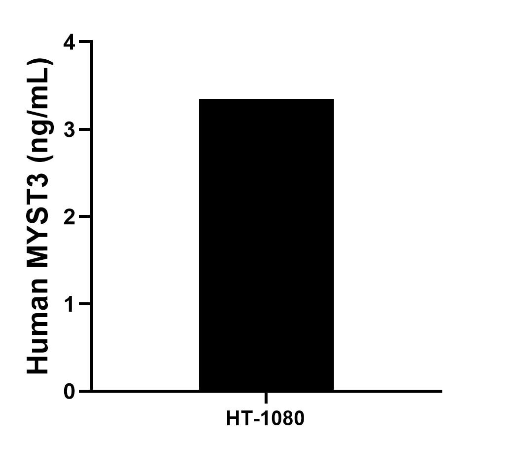The mean MYST3 concentration was determined to be 3.35 ng/mL in HT-1080 cell extract based on a 1.20 mg/mL extract load. Sandwich ELISA sample test of MP02781-1