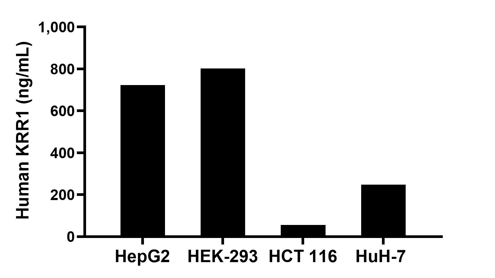 The mean KRR1 concentration was determined to be 722.68 ng/mL in HepG2 cell extract based on a 1.20 mg/mL extract load, 802.60 ng/mL in HEK-293 cell extract based on a 1.20 mg/mL extract load, 56.10 ng/mL in HCT 116 cell extract based on a 1.20 mg/mL extract load and 247.22 ng/mL in HuH-7 cell extract based on a 1.20 mg/mL extract load. Sandwich ELISA sample test of MP02819-2