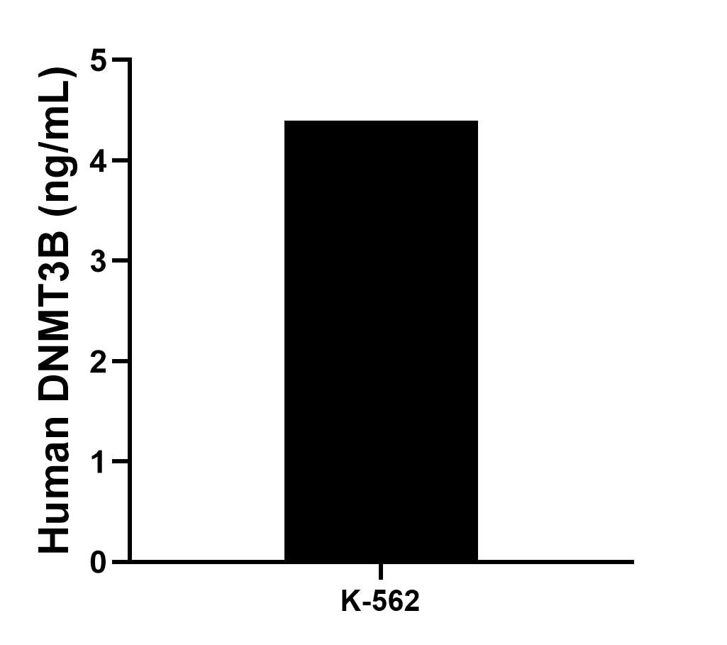 The mean DNMT3B concentration was determined to be 4.4 ng/mL in K-562 cell extract based on a 1.2 mg/mL extract load.