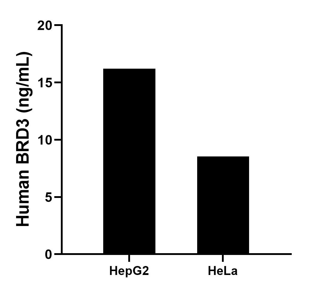 The mean BRD3 concentration was determined to be 16.21 ng/mL in HepG2 cell extract based on a 1.2 mg/mL extract load and 8.56 ng/mL in HeLa cell extract based on a 1.2 mg/mL extract load. Sandwich ELISA sample test of MP02845-2