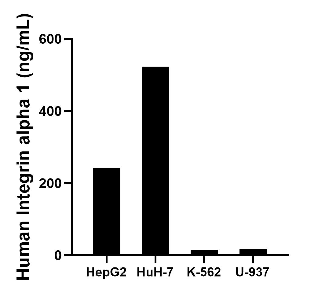 The mean Integrin alpha 1 concentration was determined to be 241.89 ng/mL in HepG2 cell extract based on a 1.20 mg/mL extract load, 523.16 ng/mL in HuH-7 cell extract based on a 1.20 mg/mL extract load, 15.42 ng/mL in K-562 cell extract based on a 1.20 mg/mL extract load and 17.42 ng/mL in U-937 cell extract based on a 1.20 mg/mL extract load. The mean Integrin alpha 1 concentration was determined to be 241.89 ng/mL in HepG2 cell extract based on a 1.20 mg/mL extract load, 523.16 ng/mL in HuH-7 cell extract based on a 1.20 mg/mL extract load, 15.42 ng/mL in K-562 cell extract based on a 1.20 mg/mL extract load and 17.42 ng/mL in U-937 cell extract based on a 1.20 mg/mL extract load.