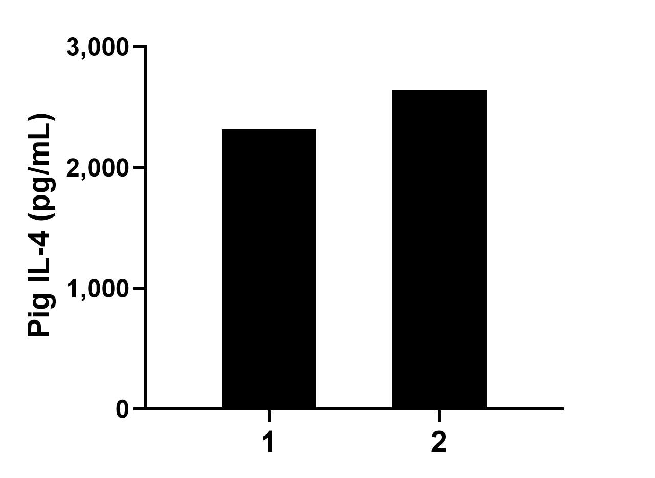 Serum of two pigs was measured. The IL-4 concentration of detected samples was determined to be 2,477.4 pg/mL with a range of 2,315.1-2,639.8 pg/mL.