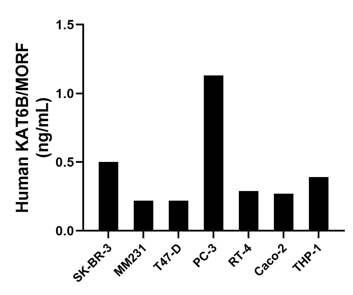 The mean KAT6B/MORF concentration was determined to be 0.51 ng/mL in SK-BR-3 cell extract based on a 1.2 mg/mL extract load, 0.22 ng/mL in MM231 cell extract based on a 1.2 mg/mL extract load, 0.22 ng/mL in T47-D cell extract based on a 1.2 mg/mL extract load, 1.13 ng/mL in PC-3 cell extract based on a 1.5 mg/mL extract load, 0.29 ng/mL in RT-4 cell extract based on a 1.5 mg/mL extract load, 0.27 ng/mL in CaCO-2 cell extract based on a 1.2 mg/mL extract load and 0.39 ng/mL in THP-1 cell extract based on a 1.2 mg/mL extract load.