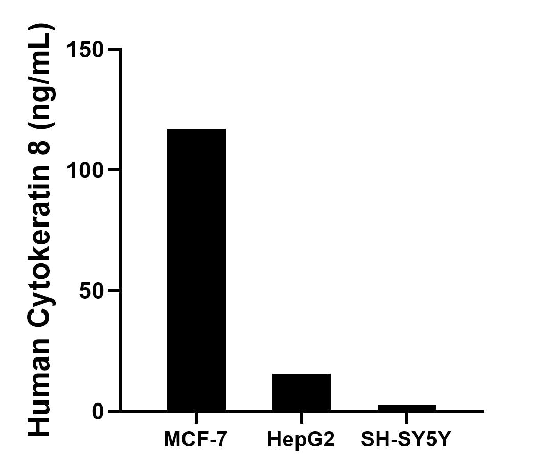 The mean Cytokeratin 8 concentration was determined to be 116.99 ng/mL in MCF-7 cell extract based on a 1.20 mg/mL extract load, 15.41 ng/mL in HepG2 cell extract based on a 1.20 mg/mL extract load and 2.54 ng/mL in SH-SY5Y cell extract based on a 1.20 mg/mL extract load. The mean Cytokeratin 8 concentration was determined to be 116.99 ng/mL in MCF-7 cell extract based on a 1.20 mg/mL extract load, 15.41 ng/mL in HepG2 cell extract based on a 1.20 mg/mL extract load and 2.54 ng/mL in SH-SY5Y cell extract based on a 1.20 mg/mL extract load.