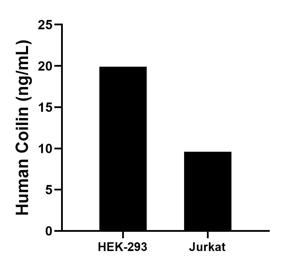 Sandwich ELISA sample test of MP02891-1 Sandwich ELISA sample test of MP02891-1