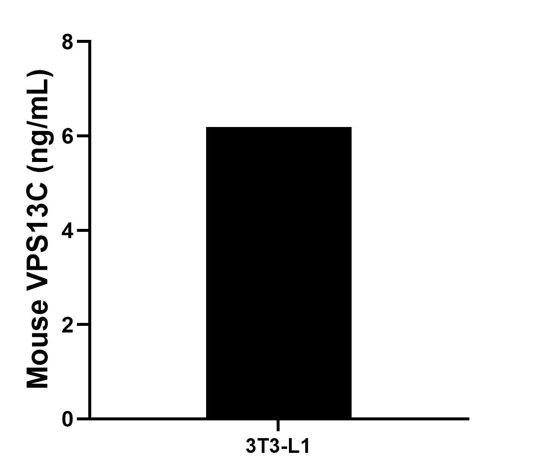The mean VPS13C concentration was determined to be 6.19 ng/mL in 3T3-L1 cell extract based on a 1.3 mg/mL extract load.