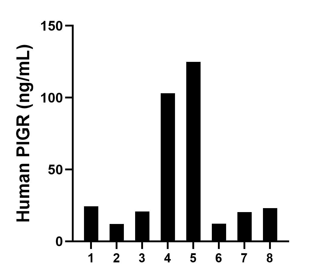Plasma of eight individual healthy human donors was measured. The PIGR concentration of detected samples was determined to be 42.6 ng/mL with a range of 12.0-124.9 ng/mL.	