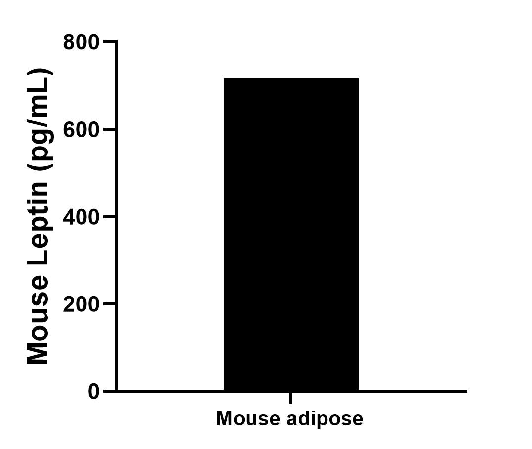 Sandwich ELISA sample test of MP02927-2