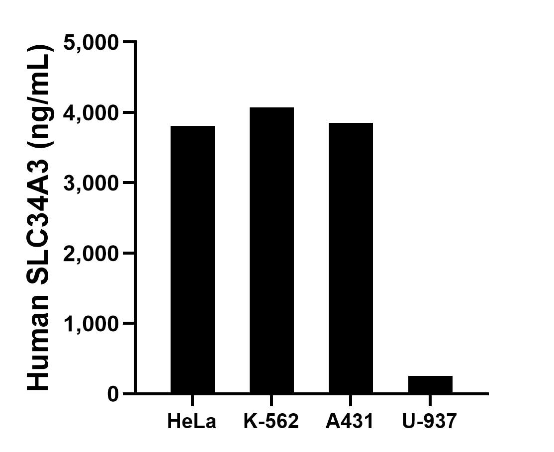 Sandwich ELISA sample test of MP02935-1