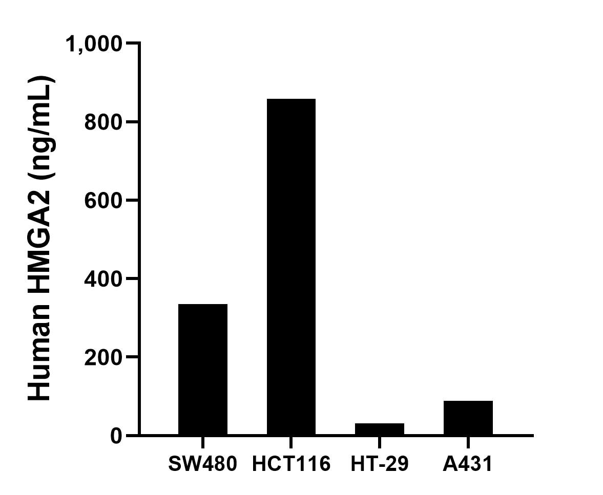 The mean HMGA2 concentration was determined to be 335.16 ng/mL in SW480 cell extract based on a 3.0 mg/mL extract load, 859.24 ng/mL in HCT116 cell extract based on a 1.3 mg/mL extract load, 31.20 ng/mL in HT-29 cell extract based on a 1.1 mg/mL extract load and 88.90 ng/mL in A431 cell extract based on a 1.2 mg/mL extract load.