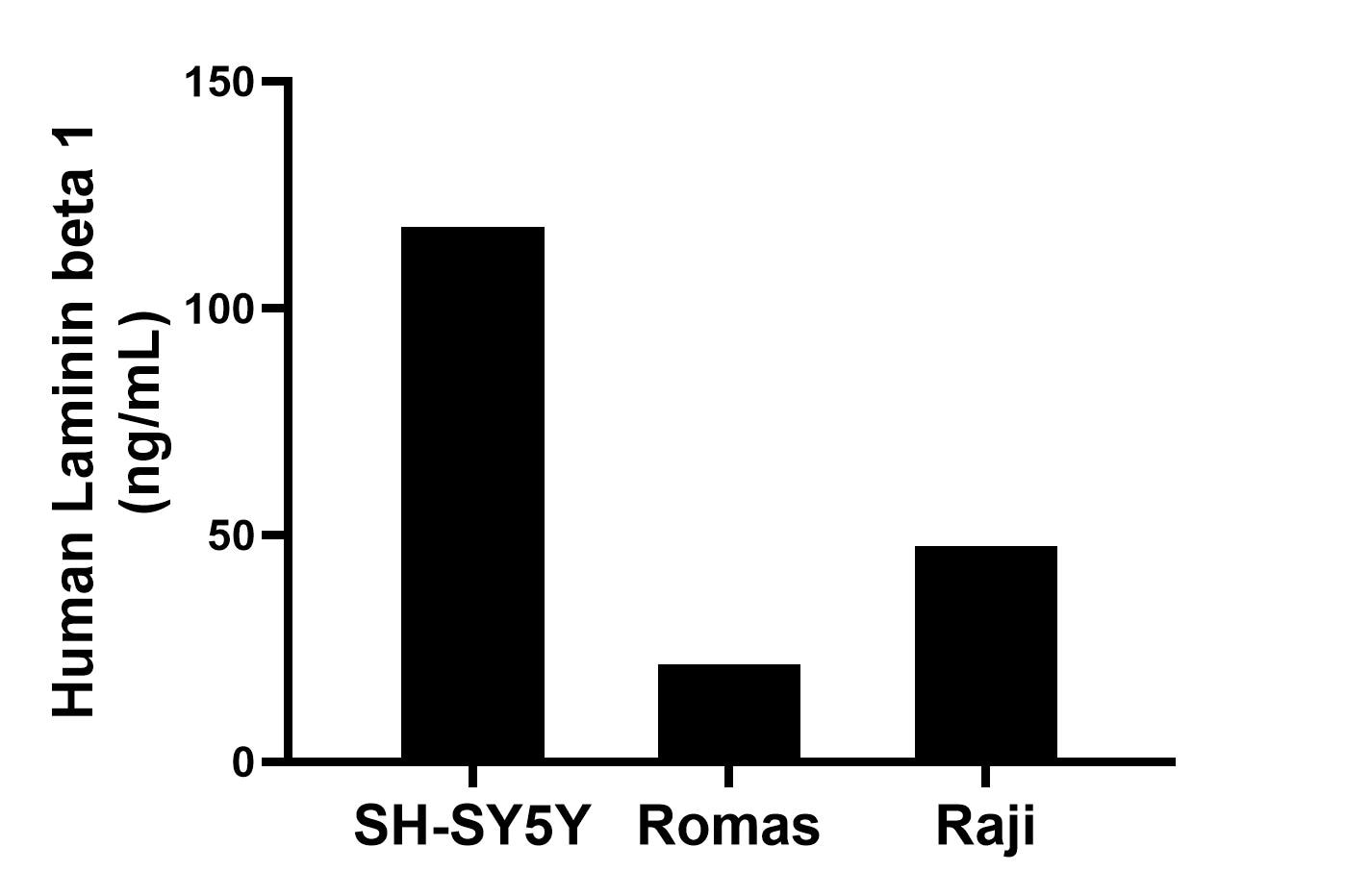 The mean Laminin beta 1 concentration was determined to be 118.0 ng/mL in SH-SY5Y cell extract based on a 1.2 mg/mL extract load, 21.5 ng/mL in Ramos cell extract based on a 2.3 mg/mL extract load and 47.6 ng/mL in Raji cell extract based on a 1.5 mg/mL extract load. The mean Laminin beta 1 concentration was determined to be 118.0 ng/mL in SH-SY5Y cell extract based on a 1.2 mg/mL extract load, 21.5 ng/mL in Ramos cell extract based on a 2.3 mg/mL extract load and 47.6 ng/mL in Raji cell extract based on a 1.5 mg/mL extract load.